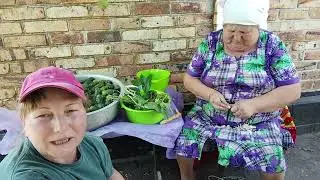 🐔🥒В селе у СВЕКРУНЬКИ !👍🐝🐝🐝
