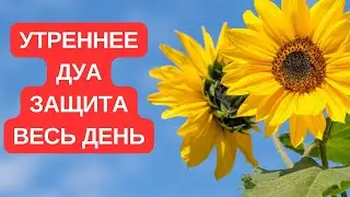 утренний Дуа для защиты от различных бед
