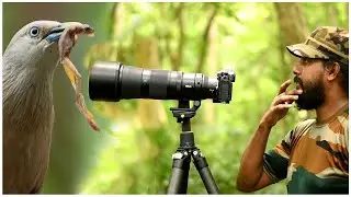 Wildlife Photography Vlog 47 | Behind Scenes Wildlife Photography | #vlog  #photography #birds