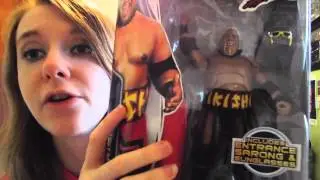 Wrestling World Figure Reviews Elite 27