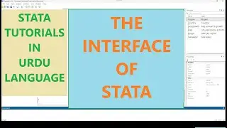 Interface of STATA (Urdu Language)