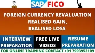 FOREIGN CURRENCY REVALUATION REALISED GAIN AND REALISED LOSS FOR VENDOR CLASS 28