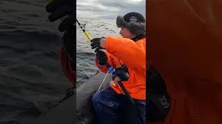 Норвежская ТРЕСКА