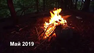 Одиночный поход в лес с ночевкой.