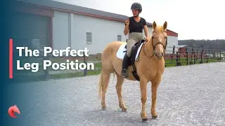 The Perfect Leg Position
