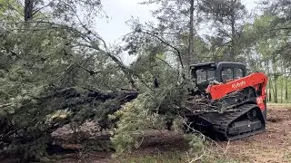 Land Clearing Done EASY At Our Family Campsite