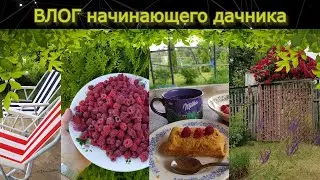 ВЛОГ Дачный №1
