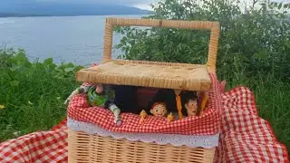 Toy Story Picnic Holiday