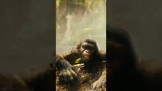 Top Movie Scene | Apes remix | Kingdom of the Planet of the Apes