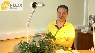 Фитосветильник для растений и рассады "Солнышко" с лампой Рефлакс