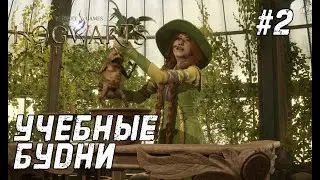 Hogwarts Legacy #2 - Тяжесть учёбы