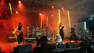The Shameless live