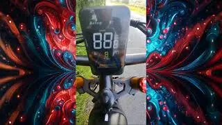 Yorkie and His Chinese Pip Bike