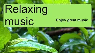 Relaxing music accompanied by the sound of rain for meditation and relaxation. Enjoy great music