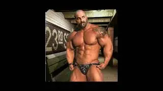 Muscle daddy bear