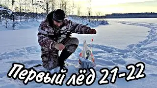Первый лёд 2021-2022! Рыбалка на жерлицы, на небольшом лесном озере!