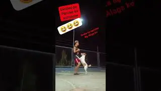 Grabe ka Agrisibo ng Alaga ko
