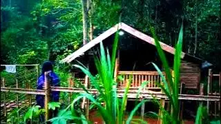 3 DAYS SLEEPING IN FOREST SHELTER ||  PEACEFUL NATURAL SOUNDS RELAXATION@AgusBushcraft