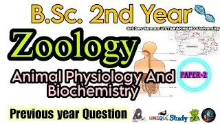 B.SC 2nd Year Zoology (Animal Physiology And biochemistry) PYQ Sri Dev Suman UTTARAKHAND University