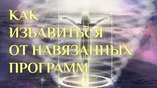 Как начать жить своей жизнью и освободиться от чужеродного? Практика 