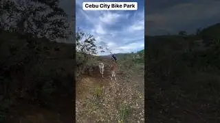 May Baka hahahaha 