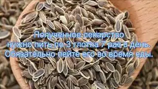 Чем полезны семена укропа