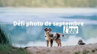 Les gagnants du défi photo de septembre (+ une annonce !)