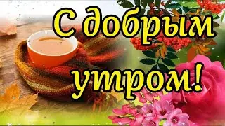 Видео открытка с Добрым утром