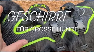 Geschirre für große Hunde