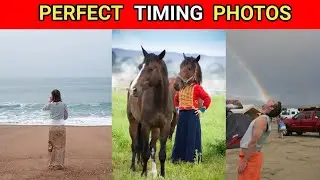 ऐसे photos जो perfect time पर खींची गई।Such photos were taken at the perfect time।#short