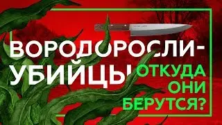 ПОЧЕМУ УМИРАЮТ РЕКИ | Русское Черноземье