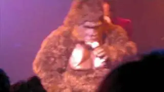 Bollo's Tribute - The Mighty Boosh At The Roxy
