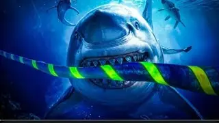 How are undersea internet cables repaired?