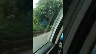 പുലർകാലസുന്ദര നിമിഷത്തിലെ #shortvideo