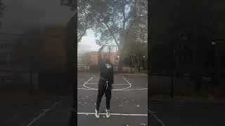 Day 24 Of Making A Trickshot Until I Get 100,000 Subscribers ⛹🏽‍♂️ #basketball #trickshots #nyc