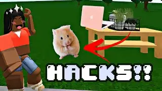 BLOXBURG Hacks! *Using The New Update Items*