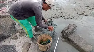 #EP1041 Tahan Tangkul Ketam