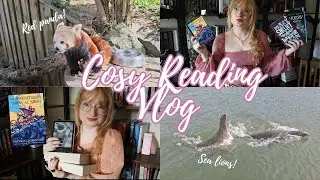 Seafaring Fantasy Adventures ~ Cozy Weekly Reading Vlog
