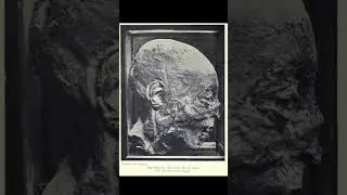 The Mummified Head of Henry Grey, Duke of Suffolk #mummy #history #viralshort #fyp #interesting