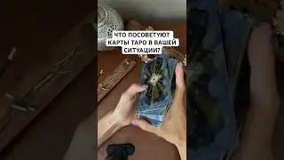 Совет от карт таро для любой вашей ситуации 🙏🏼