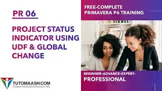 PR06-Project Status Indicator Using UDF & Global Change