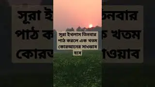 সুরা ইখলাস#shorts#short#shortsfeed