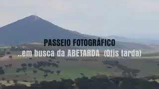 Passeio Fotográfico    em busca da Abetarda Otis Tarda