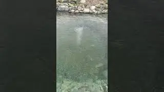 Расположение скиммера