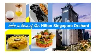 Hilton Orchard