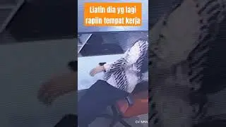 Mbak cantik yang super rapi