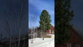 #СектаИмениМеня