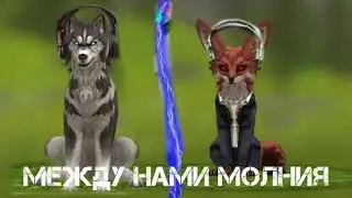 Wild Craft Вайлд крафт клип молния не судите строго пж