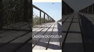 Ayten Rasul - Kül Oldum #shorts