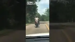 Fails 2017   Snake Tries to Bite Motorbike Rider While Driving